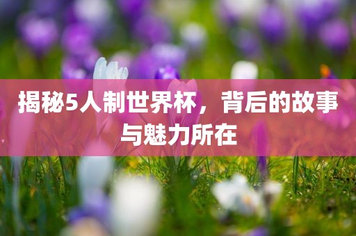 揭秘5人制世界杯，背后的故事与魅力所在