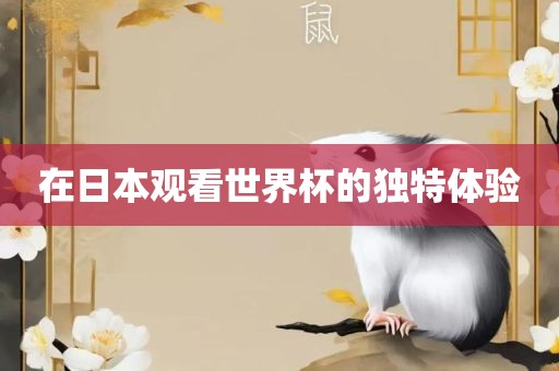 在日本观看世界杯的独特体验