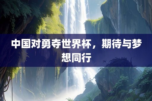 中国对勇夺世界杯，期待与梦想同行