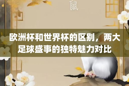 欧洲杯和世界杯的区别，两大足球盛事的独特魅力对比