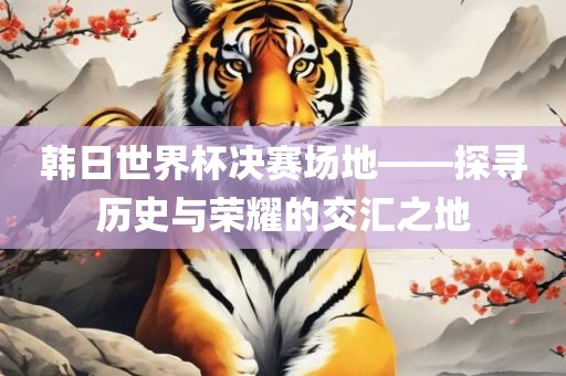 韩日世界杯决赛场地——探寻历史与荣耀的交汇之地