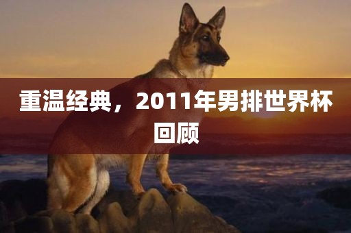 重温经典，2011年男排世界杯回顾