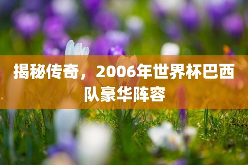 揭秘传奇，2006年世界杯巴西队豪华阵容