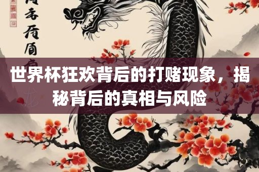 世界杯狂欢背后的打赌现象，揭秘背后的真相与风险