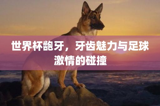 世界杯龅牙，牙齿魅力与足球激情的碰撞
