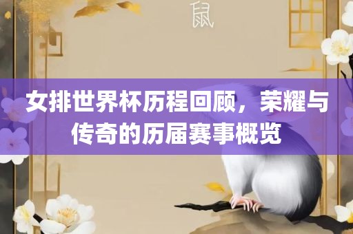 女排世界杯历程回顾，荣耀与传奇的历届赛事概览漯河市盈旭机械设备有限公司