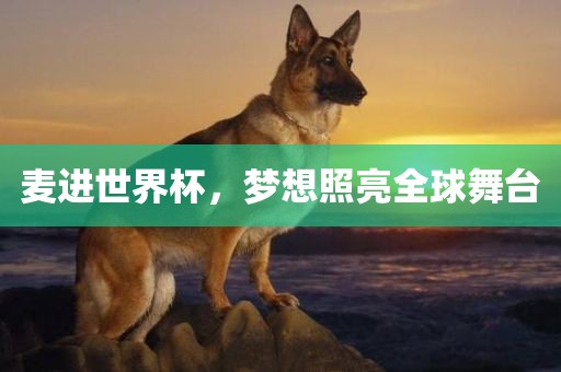 麦进世界杯，梦想照亮全球舞台