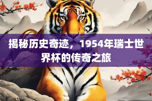 揭秘历史奇迹，1954年瑞漯河市盈旭机械设备有限公司士世界杯的传奇之旅