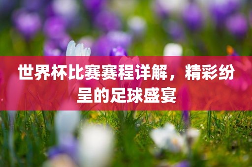 世界杯比赛赛程漯河市盈旭机械设备有限公司详解，精彩纷呈的足球盛宴