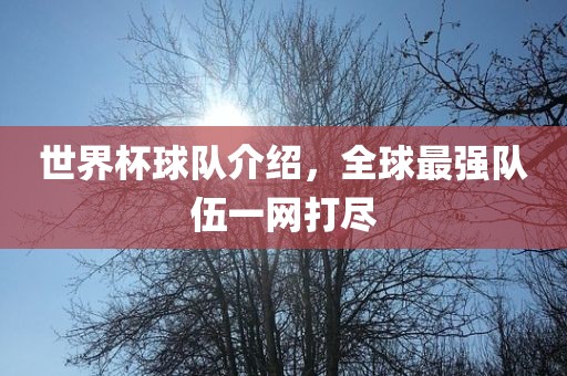 世界杯球队介绍，全球最强队伍一网打尽漯河市盈旭机械设备有限公司