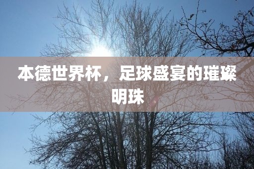 本德世界杯，足球盛宴的璀璨明珠