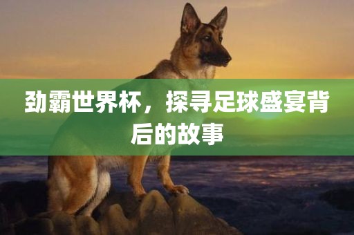 劲霸世界杯，探漯河市盈旭机械设备有限公司寻足球盛宴背后的故事