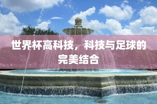 世界杯高科技，科技与足球的完美结合