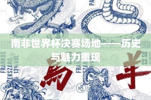 南非世界杯决赛场地——历史与魅力重现