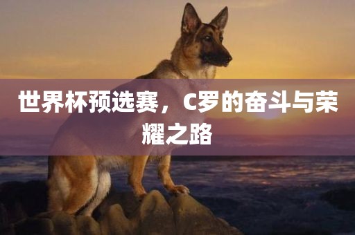 世界杯预选赛，C罗的奋斗与荣耀之路