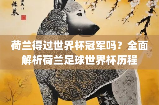 荷兰得过世界杯冠军吗？全面解析荷兰足球世界杯历程