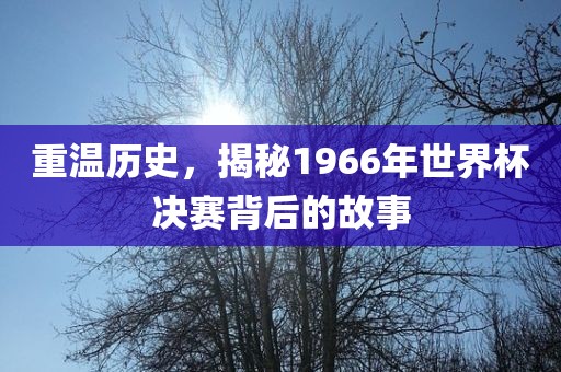 重温历史，揭秘1966年世界杯决赛背后的故事