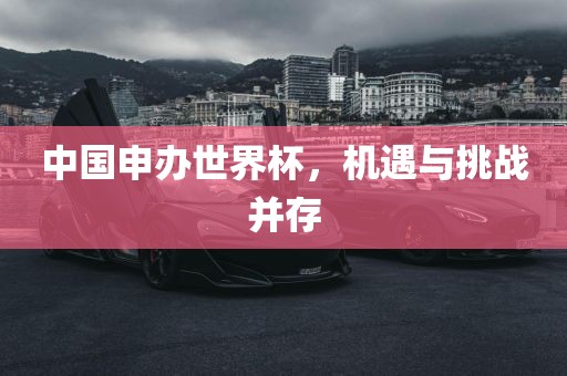 中国申办世界杯，机遇与挑战并存