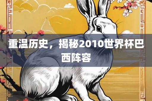 重温历史，揭秘2010世界杯巴西阵容
