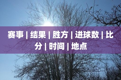 赛事 | 结果 | 胜方 | 进球数 | 比分 | 时间 | 地点
