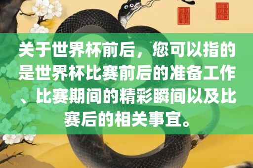 关于世界杯前后，您可以指的是世界杯比赛前后的准备工作、比赛期间的精彩瞬间以及比赛后的相关事宜。