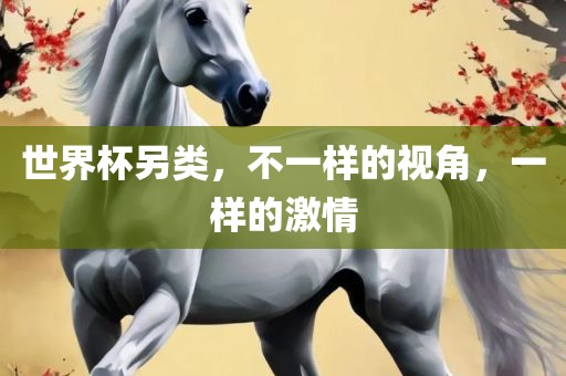世界杯另类，不一样的视角，一样的激情