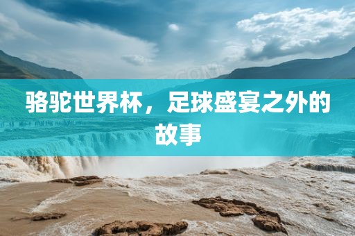 骆驼世界杯，足球盛宴之外的故事