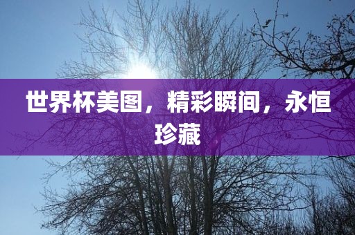 世界杯美图，精彩瞬间，永恒珍藏