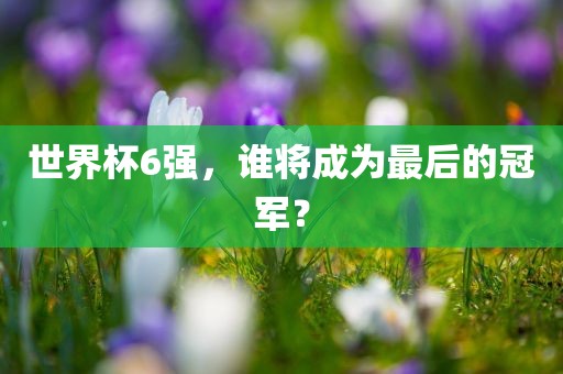 世界杯6强，谁将成为最后的冠军？