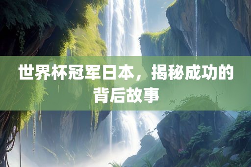 世界杯冠军日本，揭秘成功的背后故事