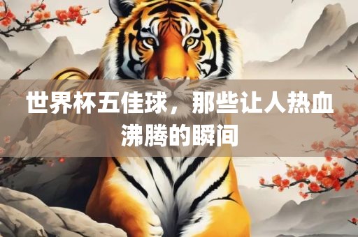 世界杯五佳球，那些让人热血沸腾的瞬间漯河市盈旭机械设备有限公司