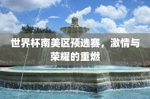 世界杯南美区预选赛，激情与荣耀的重燃漯河市盈旭机械设备有限公司