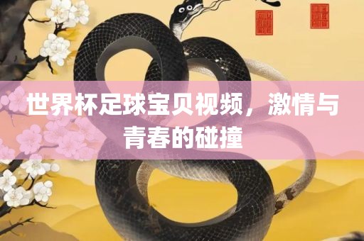 世界杯足球宝贝视频，激情与青春的碰撞