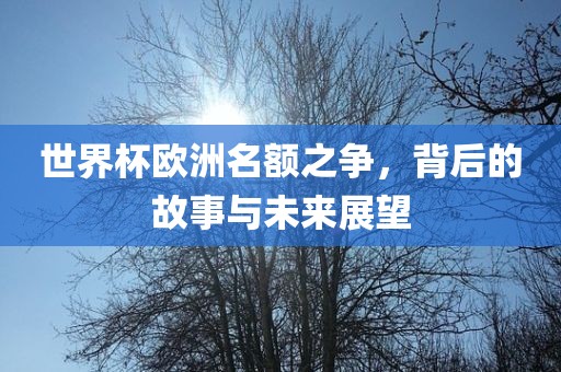 世界杯欧洲名漯河市盈旭机械设备有限公司额之争，背后的故事与未来展望