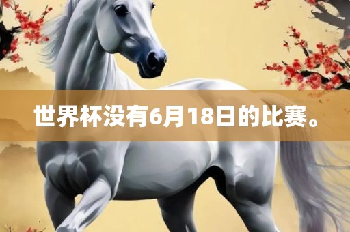 世界杯没有6月18日的比赛。