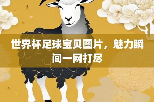 世界杯足球宝贝图片，魅力瞬间一网打尽
