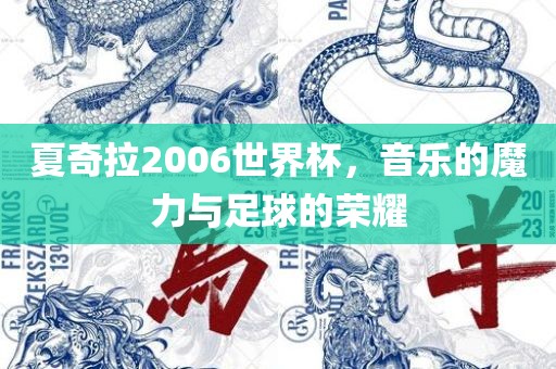 夏奇拉2006世界杯，音乐的魔力与足球的荣耀漯河市盈旭机械设备有限公司