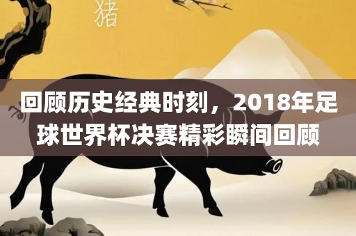 回顾历史经典时刻，2018年足球世界杯决赛精彩漯河市盈旭机械设备有限公司瞬间回顾