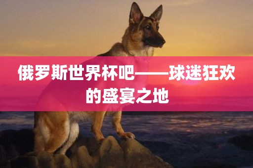 俄罗斯世界杯吧——球迷狂欢的盛宴之地
