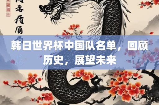 韩日世界杯中国队名单，回顾历史，展望未来