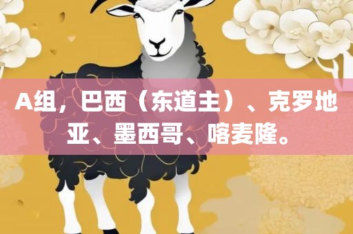 A组，巴西（东道主）、克罗地亚、墨西哥、喀麦隆。