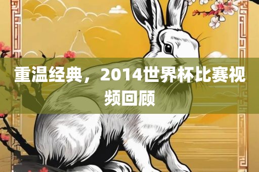 重温经典，2014世界杯比赛视频回顾