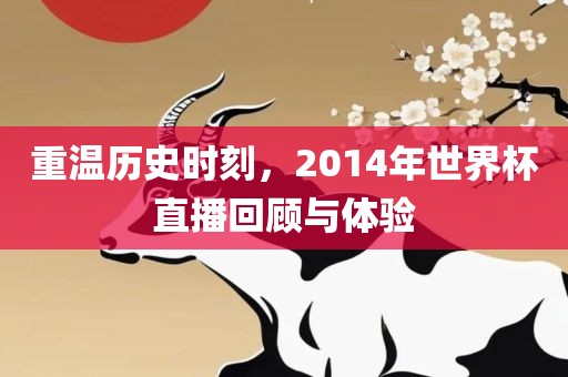 重温历史时刻，2014年世界杯直播回顾与体验
