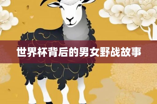 世界杯背后的男女野战故事