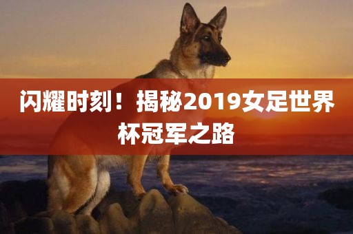 闪耀时刻！揭秘2019女足世界杯冠军之路