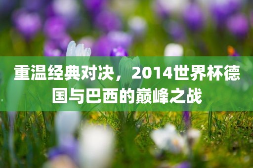 重温经典对决，2014世界杯德国与巴西的巅峰之战漯河市盈旭机械设备有限公司