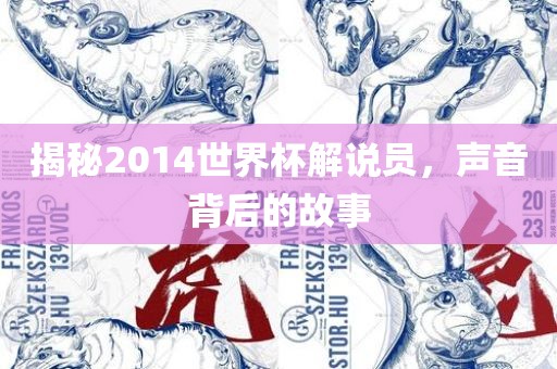 揭秘2014世界杯解说员，声音背后的故事
