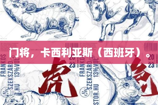 门将，卡西利亚斯（西班牙）。
