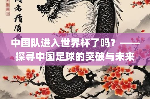 中国队进入世界杯了吗？——探寻中国足球的突破与未来漯河市盈旭机械设备有限公司