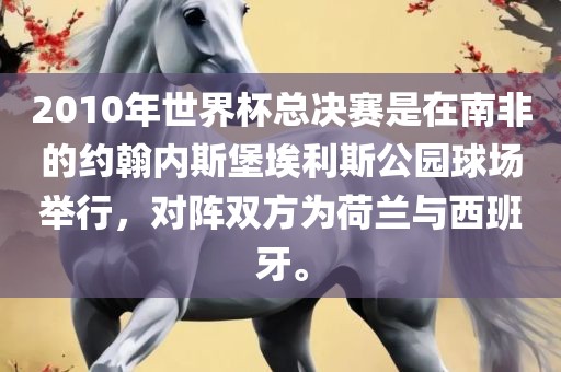 2010年世界杯总决赛是在南非的约翰内斯堡埃利斯公园球场举行，对阵双方为荷兰与西班牙。